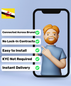 eSIM Brunei - 2 GB - 15 Days