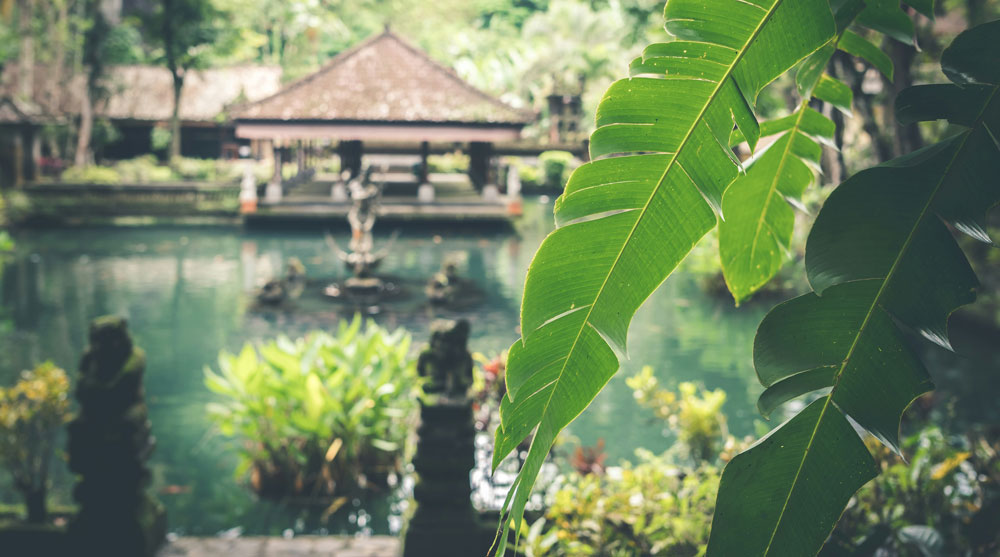 The Best Time To Visit Bali: The Ultimate Guide (Updated 2025)