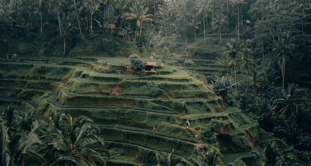 best season to visit bali
