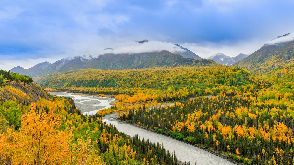 Best Time to Visit Alaska