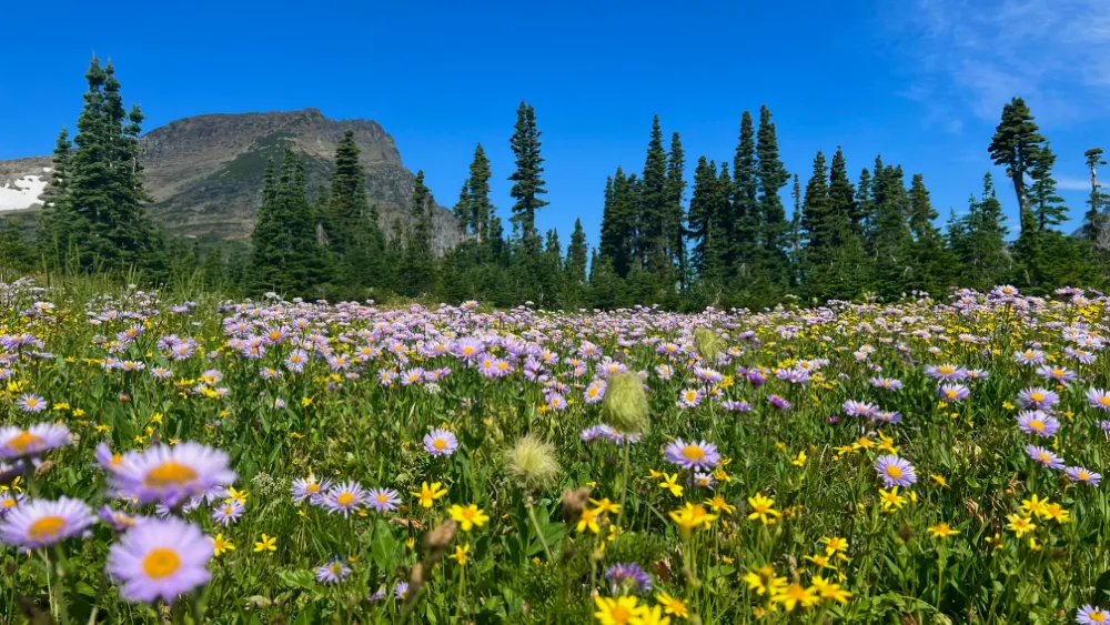 glacier national park