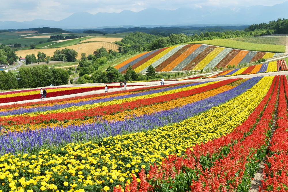 best time to visit hokkaido