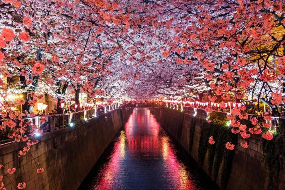 Best Travel Destinations in Japan