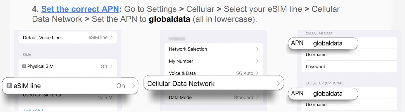 Screenshot of iOS settings showing where to set the APN.