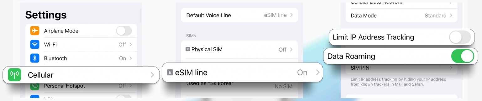 Screenshot of iOS settings showing how to enable data roaming.