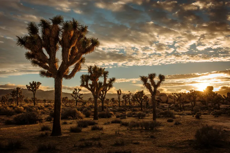 The Best Travel Destinations in November