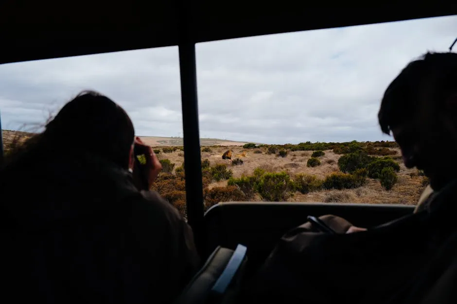 Tourist using a smartphone during an African safari game drive