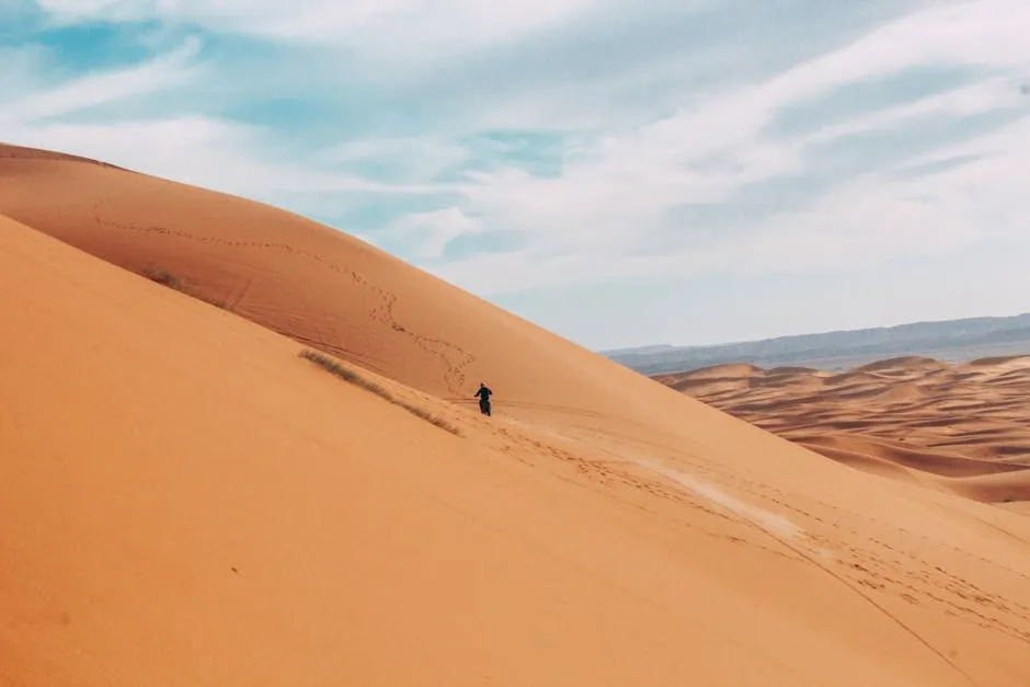 Golden sand dunes of the Moroccan Sahara desert stretching to the horizon at sunset