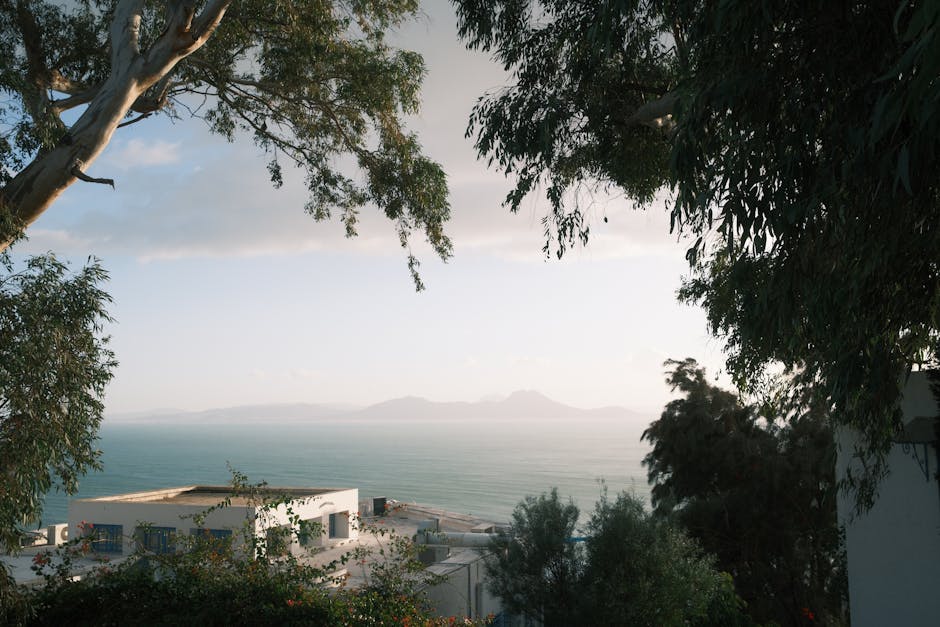 Best eSIM for Tunisia