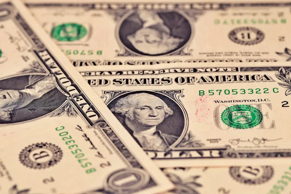 US dollar bills - understanding cash and payments in North America