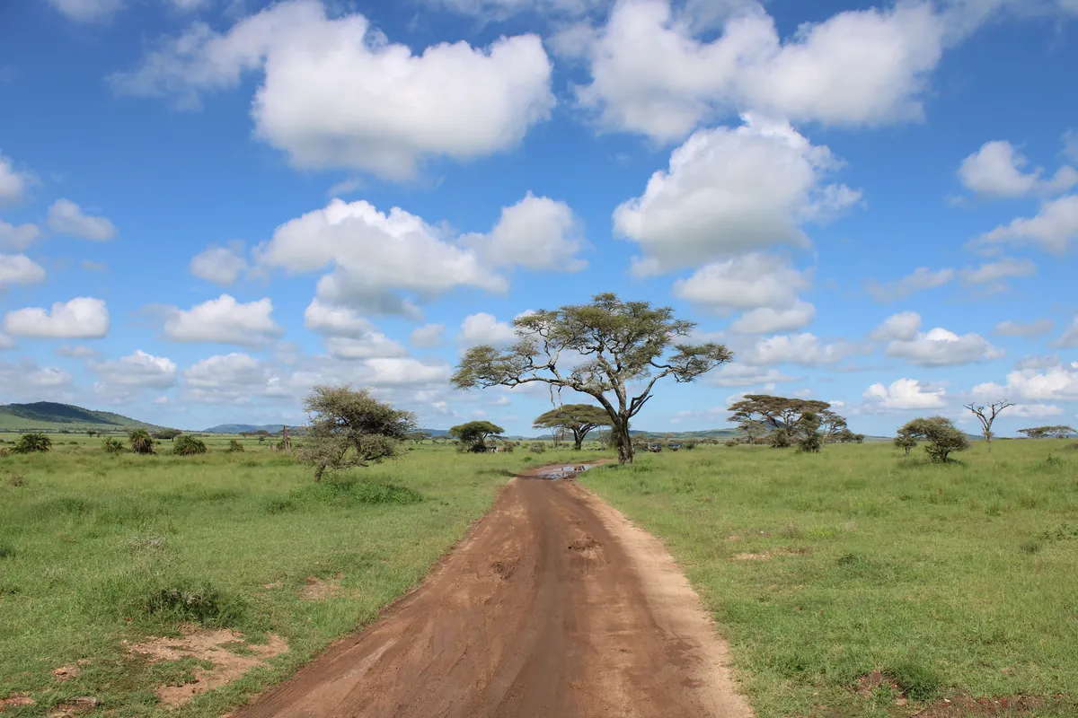 cheapest eSIM for Tanzania